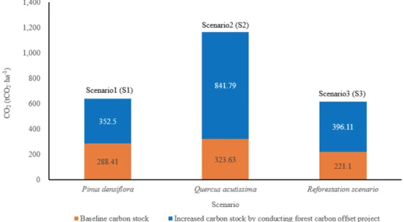 Fig. 6. Compared increasing carbon stock according to scenarios.