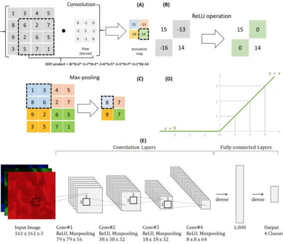 Fig. 3. The architecture of the convolutional neural network (CNN) structure for beef marbling classification  and prediction
