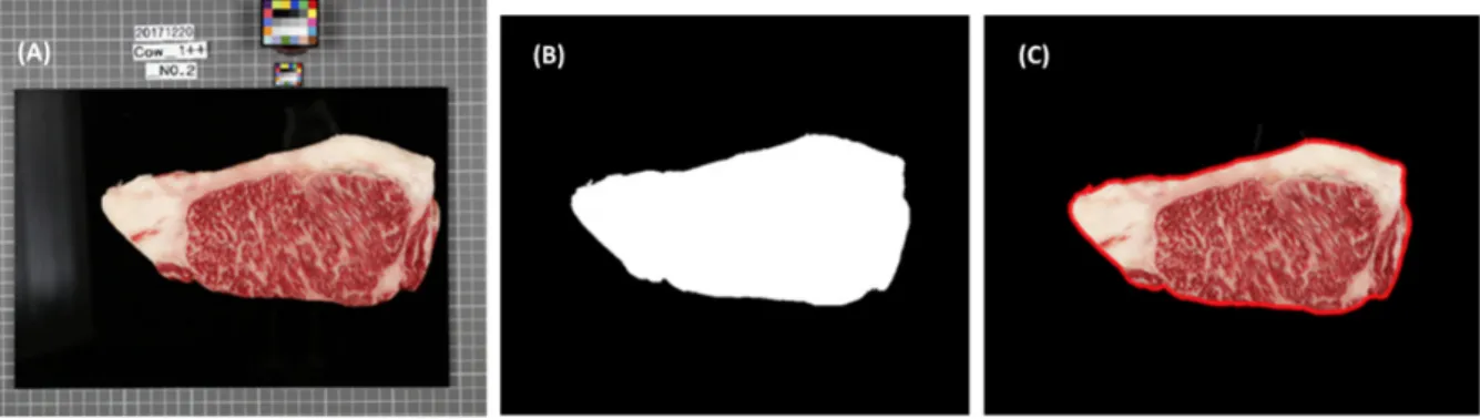 Fig. 5. Image processing procedure to remove background and select region of interest (ROI) using mask