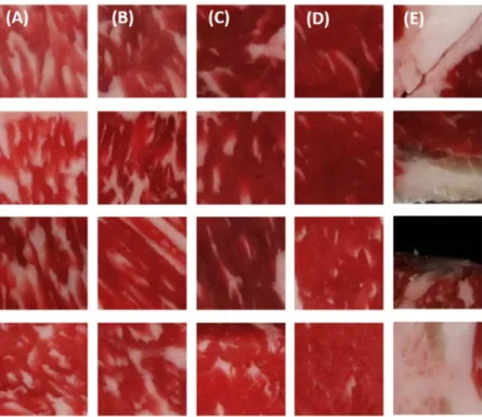 Fig. 6. Sub-images of each quality grade. (A) is 1++ grade, (B) is 1+ grade, (C) is 1 grade, (D) is 2 &amp; 3 grade and  (E) is excluded parts for training and testing.