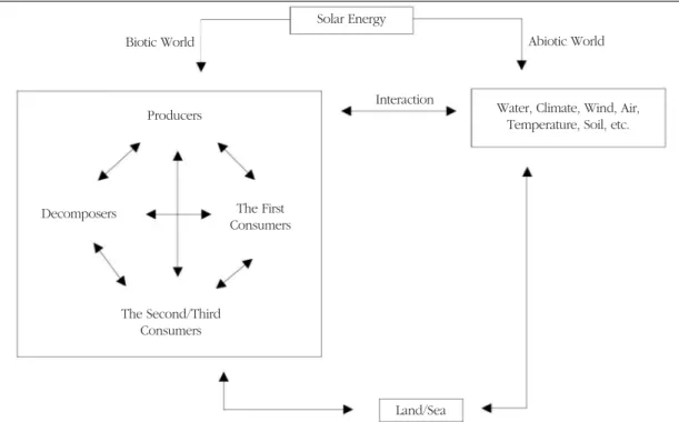 Figure 1.  The Structure of EcosystemSolar EnergyBiotic WorldProducersDecomposersThe Second/ThirdConsumersThe FirstConsumersInteraction Land/Sea