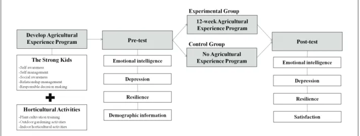 Figure 1. Experimental procedure