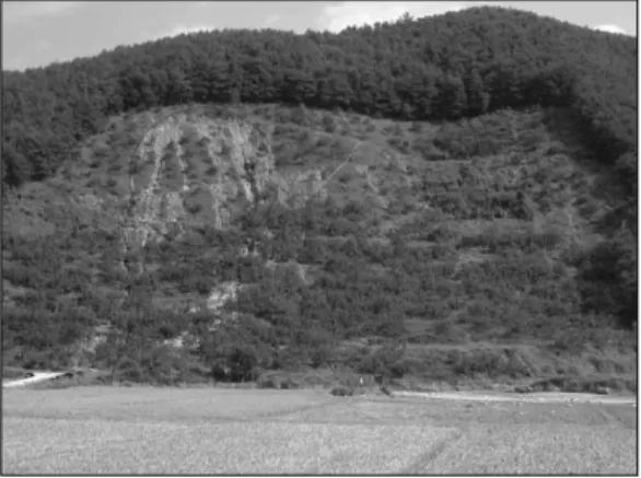Fig. 7.  Soil-eroded orchard in Seok-ri having the slope over 45˚. In the circle, soil was eroded severely from the upper part of the orchard