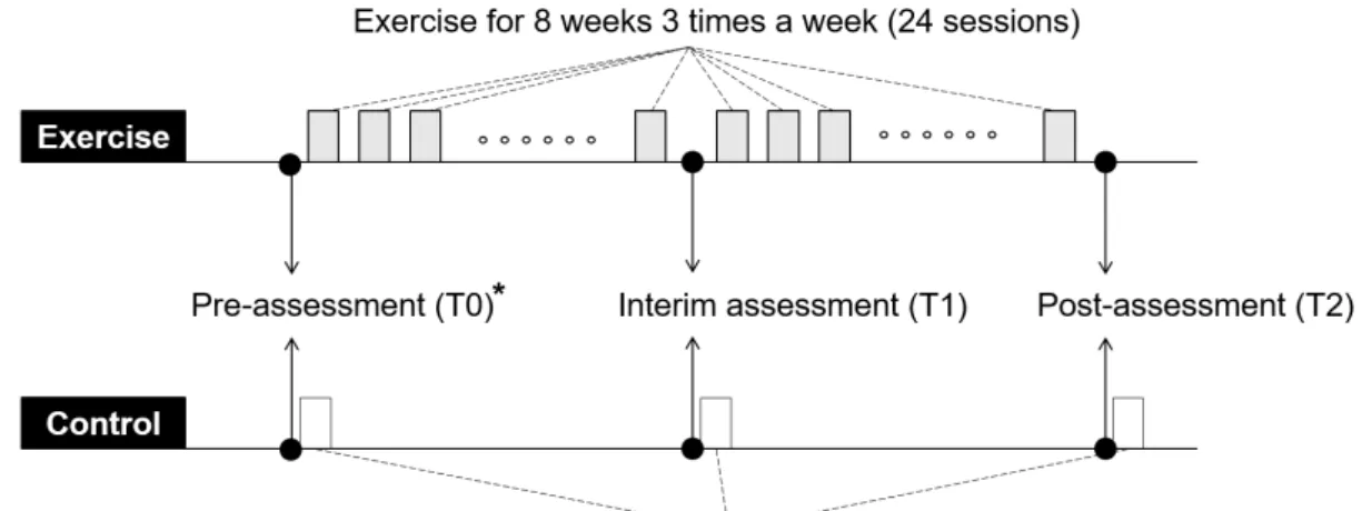 Figure  2.  Exercise  and  control  interventions.  * On  the  pre-assessment  day,  education  on  general  health  and  back  health  was  provided  to  both  the  exercise  control  groups.