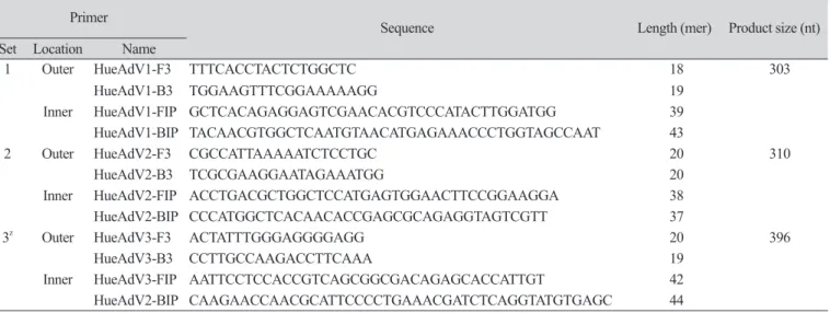 Fig. 2. Restriction results of human enteric Adenovirus (HueAdV)-41 loop-mediated isothermal amplification  (LAMP) for verifying positive reaction
