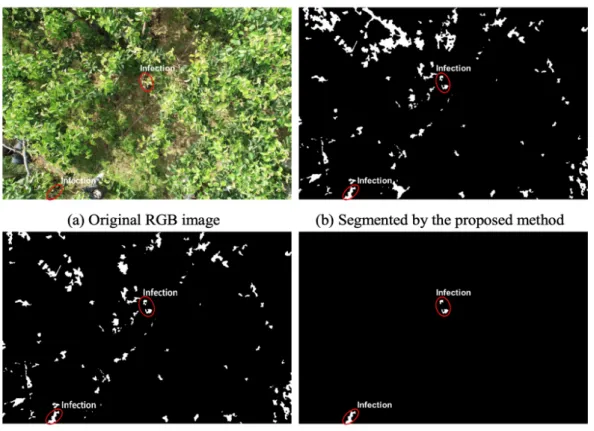 Fig. 10.  Image processing result and comparison with the manually segmented image (image 1).