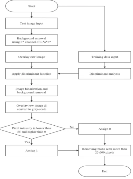 Fig. 4.  Image segmentation algorithm. 