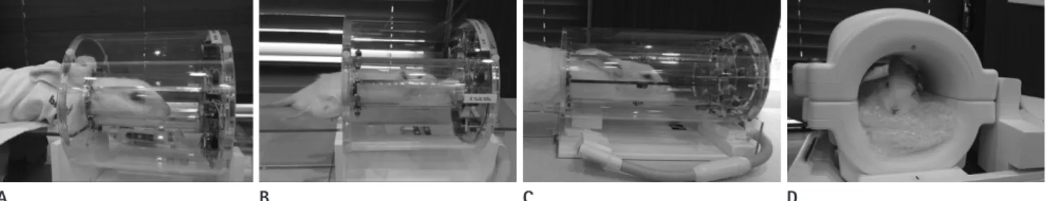 Fig. 1. Surface coils used in the present study. Rat coil (5 cm in diameter) with a rabbit (A) and a rat (B) within the coil
