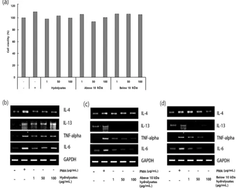 Fig. 3 은 HMC-1의 세포생존력 및 mRNA 발현에 대한 3 종류(LH, 10 kDa LH 이상 및 미만)의 효과를 나타 낸 것이다. 세포 생존능력은 3종류의 LH 가수분해물의 농도에 유의한 영향을 미치지 않았다