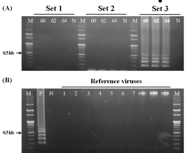 Fig. 1.  Loop-mediated isothermal amplification (LAMP) reaction results of human Astrovirus (HuAstV)