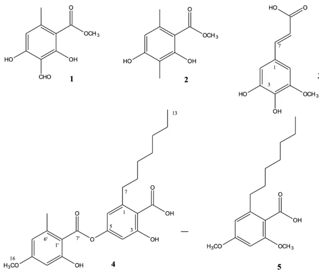 Fig. 2.  Chemical structures of compounds 1 (methyl hematommate), 2 (methyl β-orsellinate), 3 (5-hydroxyferulic  acid), 4 (sphaerophorin) and 5 (2-​heptyl-​4,​6-​dimethoxybenzoic acid) isolated from lichens.