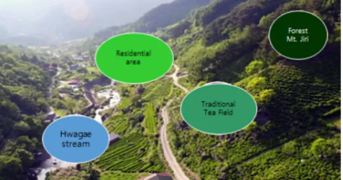 Figure 2. Role of Green Tea as a tour experience  program 관련체험프로그램으로는 오감체험이 가능한 프로그램 으로 구성되어 있는데,  녹차 소재의 찻잎따기 체험,  전통 차제다 체험 ,  스님과 함께하는 시배지 찻자리,  차시배지  투어 등이 있다 