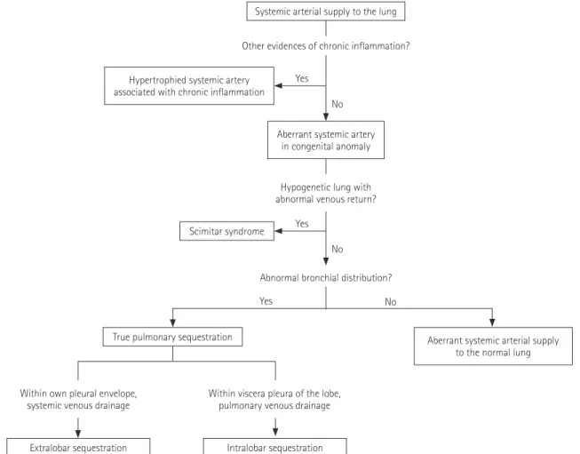 Fig. 2. A simplified algorithm for differential diagnosis of systemic arterial supply to the lung