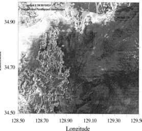 Fig. 4.  Distribution of Red Tide using unsupervised parallepiped classification with Landsat TM data(Oct, 3