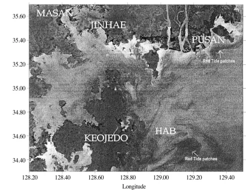 Fig. 5.  Distribution of Red Tide using PCA method with Landsat TM data(Oct, 2. 1995)35.6035.4035.2035.0034.8034.6034.40128.20128.40128.60128.80129.00129.20 129.40LongitudeLatitude