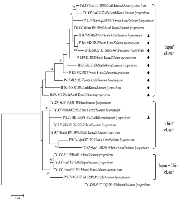 Fig. 2. The phylogenetic tree was constructed by the neighbor joining method with 1000 bootstrap replicates,  using the complete nucleotide sequences of the Tomato yellow leaf curl virus (TYLCV) coat protein (CP) of  the 2018 Korean isolates (indicated wit