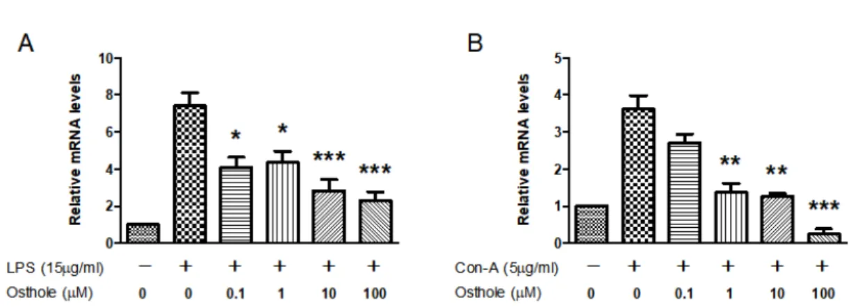 Fig. 4. Effects of osthole on lipopolysaccharide (LPS)- or concanavalin-A (Con-A)-induced tumor necrosis  factor-α (TNF-α) gene expression in peripheral blood mononuclear cells (PBMC)