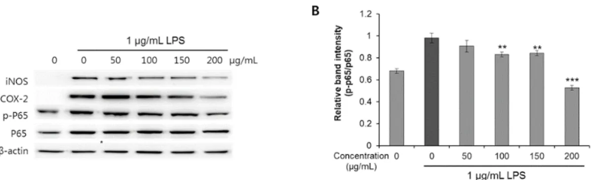 Fig. 3. Effect of Ganoderma lucidum extract on expression of inflammation-related proteins in LPS-induced  RAW 264.7 cells