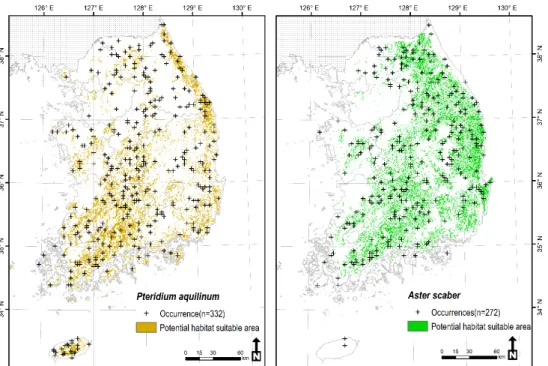 Fig. 1. Distribution of Pteridium aquilinum (A) and Aster scaber (B) with referenced occurrence data and  potential habitat suitable area.