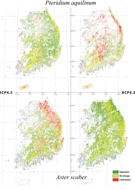 Fig. 2. Projected cultivation areas under two climate change scenarios of Pteridium aquilinum and Aster  scaber in South Korea for 2050s period.