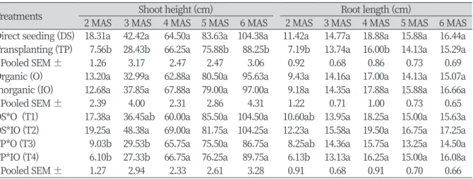 Table 4 indicates a similar trend as in root length for the number of leaves ,  where no significant difference between treatment combinations can be observed after 2 MAS 