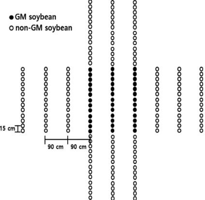 Fig. 1. Diagrammatic representation of experimental design for gene flow. Genetically modified  (GM) soybeans were planted in center (black circle) as pollen source