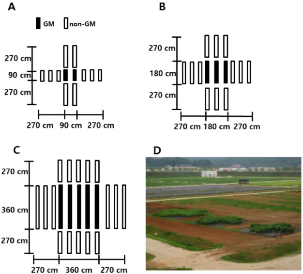 Fig. 2. The experimental design of the field trial. Genetically modified (GM) soybeans were  planted in center (black rectangles) as pollen source