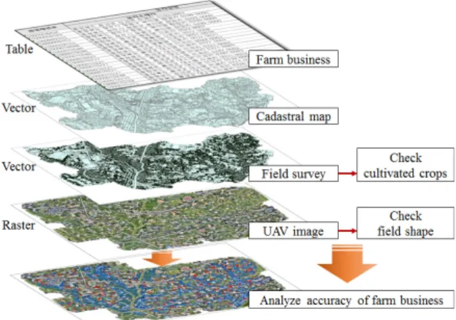 Figure 7. Process of accuracy analysis of farm business