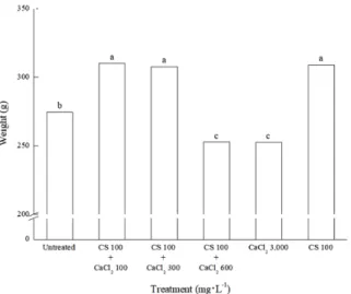 Fig. 1. Effect of preharvest chitosan (CS) and calcium chloride application on the fruit weight of 