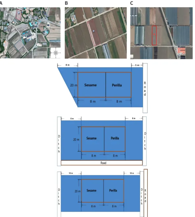 Fig. 1. Satellite images (top) and experiment plot diagram (bottom) from three paddy fields; A: Mountain foot  slopes, B: Local valley and C: Alluvial plains.