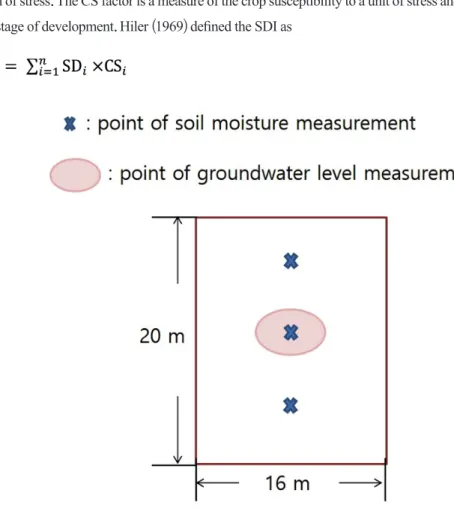 Fig. 2. Locations of soil water and groundwater level measurements from each experiment plot.