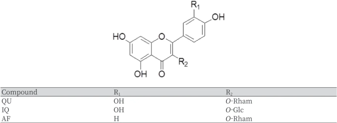 Fig. 1. The structures of flavonoids from Acer okamotoanum.