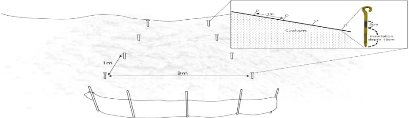 Fig .  1 .  A schematic of the plastic fence and erosion control pins on the study cut - slope .