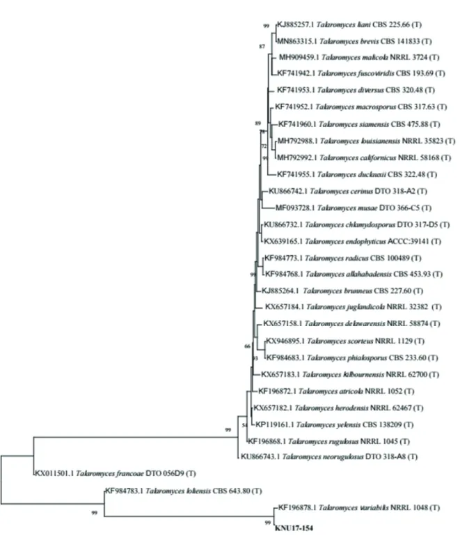 Fig. 3. Neighbor-joining phylogenetic analysis of Calmodulin (CaM) gene sequences of Talaromyces variabilis KNU17-154