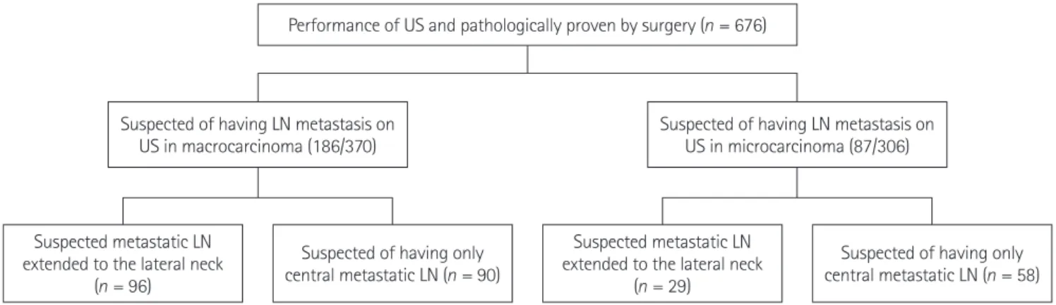 Fig. 1. Patient flow diagram. Flowchart shows the study population and included patients