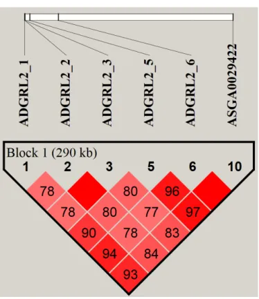 Fig .  2 .  Linkage disequilibrium  ( LD )  block of further analyzed Single Nucleotide Polymorphism  ( SNP )  marker in exon and significant SNP marker of Genome - wide association study  ( GWAS )  result .