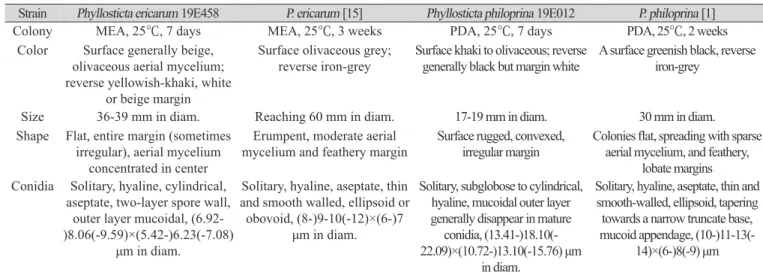 Table 1. Morphological characteristics of endophytic fungal species isolated in this study.