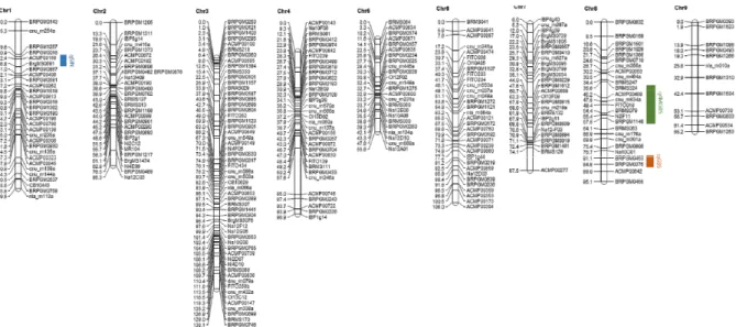 Table 1. Glucosinolate (GSL) profiles and concentrations (μmol/g of DW) of mean and range of the F 3  population of  cabbage.