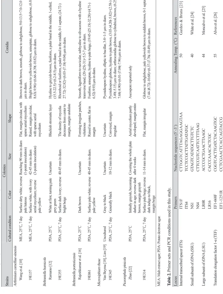 Table 1. Morphological characteristics of endophytic fungal strains isolated in this study