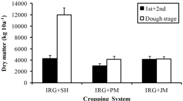 Fig. 3. Dry matter yield of crops according to three cropping systems. 