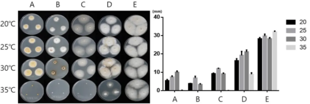 Fig. 3. Colonies of five species grown on potato dextrose agar (PDA) at four different  temperatures and their mycelial growth rates (7 days)