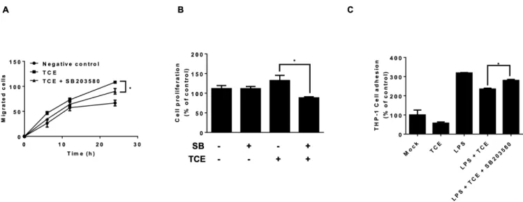 Fig. 4.  Trametes cubensis extract (TCE)-induced cell migration, proliferation and monocyte adhesion are regulated by p38 mitogen-activated  protein kinase (MAPK)