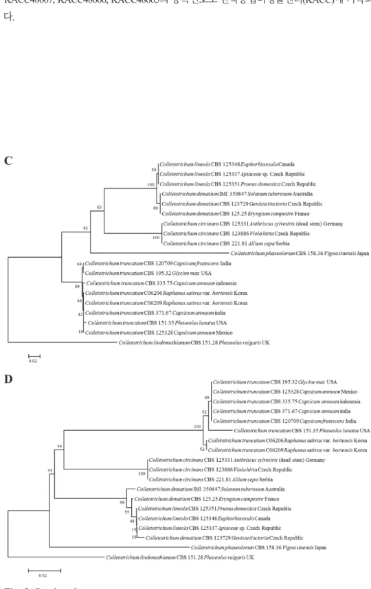 Fig. 5. Continued.
