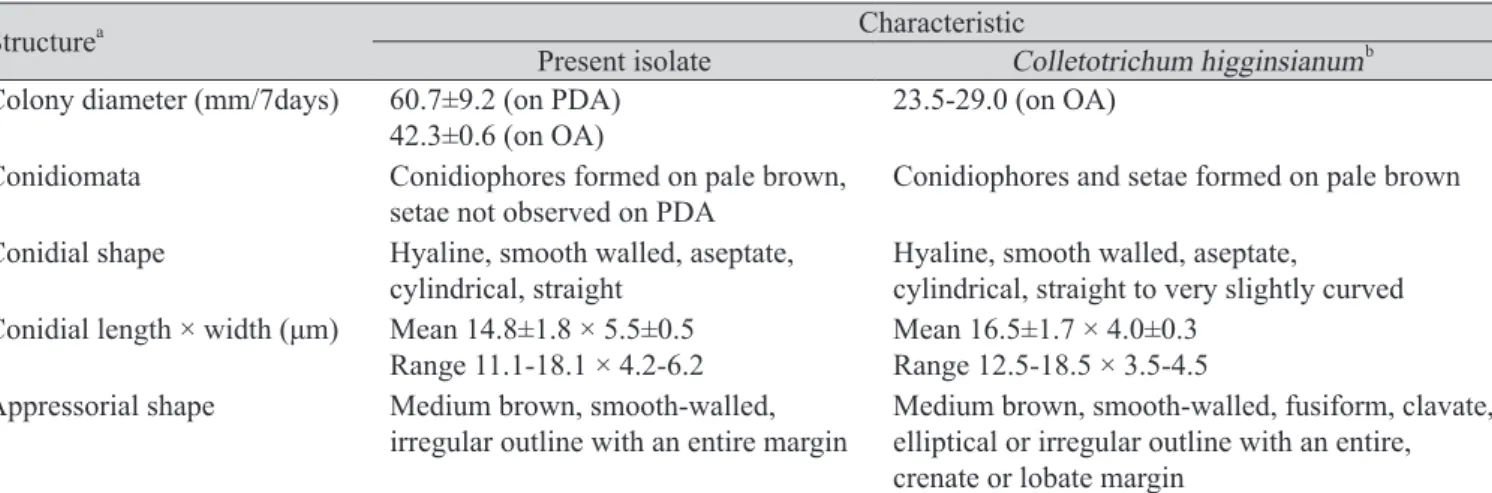 Table 2. Comparison of morphological characteristics between the present isolate (C06210) obtained from infected radish leaves  and Colletotrichum higginsianum described previously