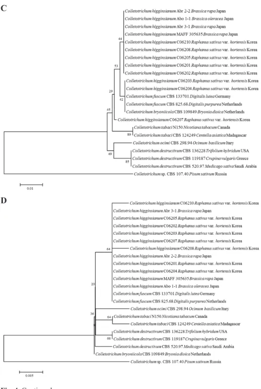Fig. 4. Continued.