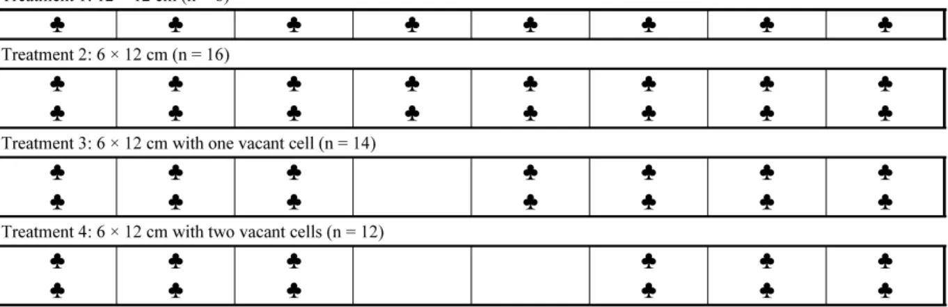Fig. 1. Layout of 4 treatments with different planting densities.