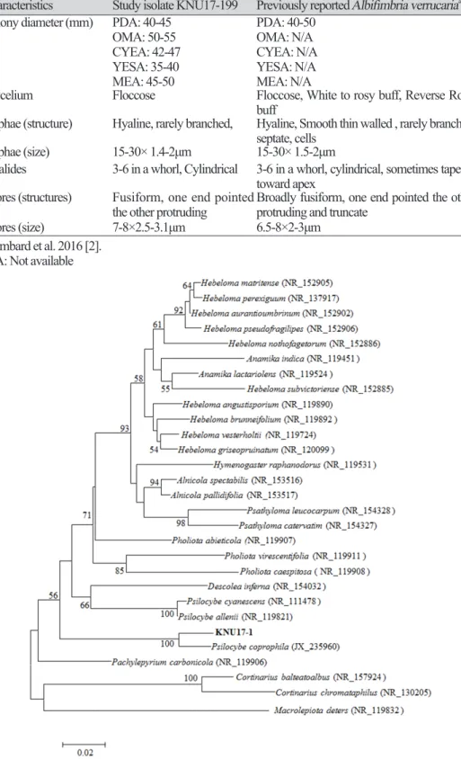 Table 3. Morphological comparison of the present study isolate KNU17-199 with the previously  reported  Albifimbria verrucaria isolate.