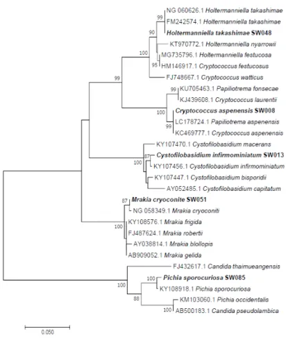 Table 2. Characteristics of the unrecorded yeasts from water and soil samples under the Bulti bridge in Sejong city, Korea