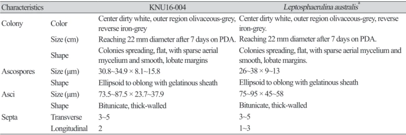 Table 2. Morphological characteristics of KNU16-004 isolated in this study and comparison with previously reported isolates 