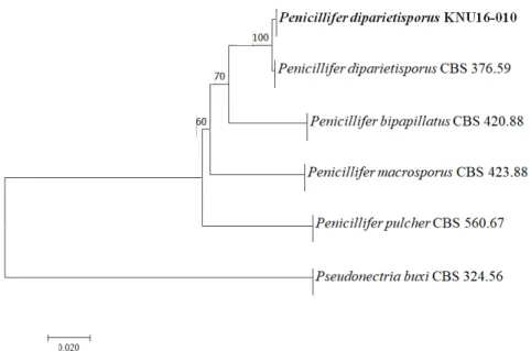 Table 2. GenBank accession numbers used in this study for the phylogenetic analyses